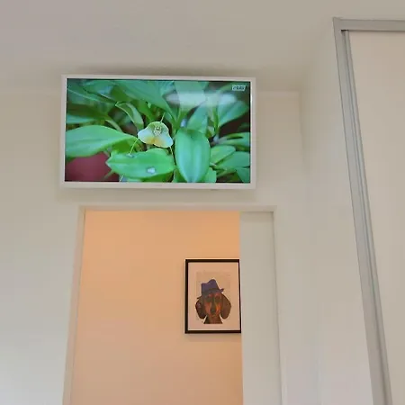 Appartamento Am Sahlenburger As24 *