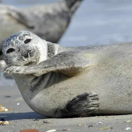 Am Sahlenburger As24 * Cuxhaven